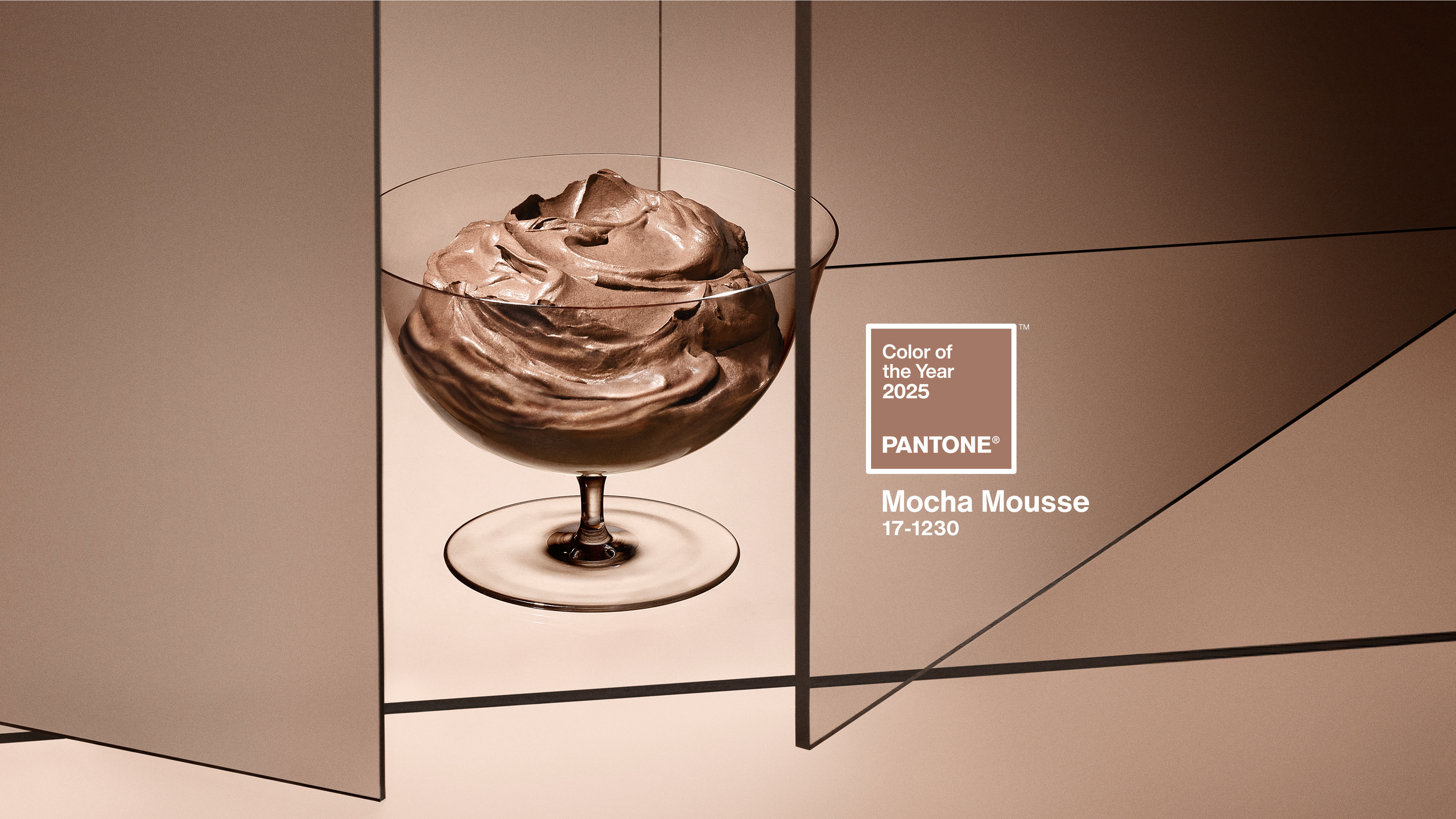 Mocha Mousse, Pantone's 2025 Color of the Year.