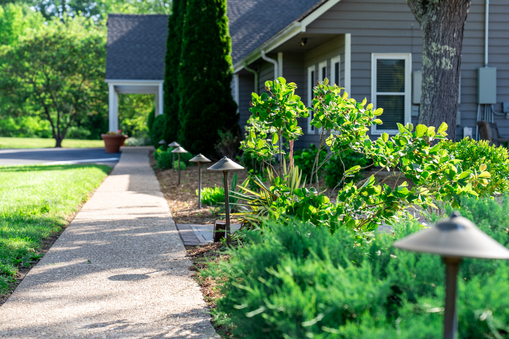 A paved sidewalk leading up to a house with landscaping elements and shrubbery along the sides.