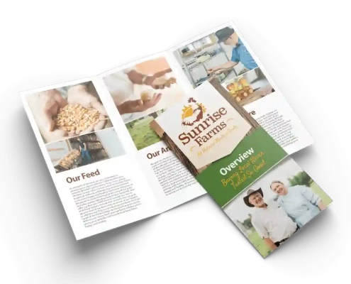 Brochure mockup for Sunrise Farms